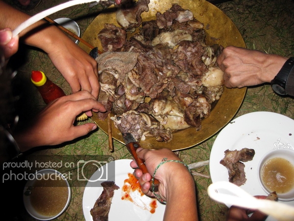 IMG_0037_zpse9b36a9f.jpg