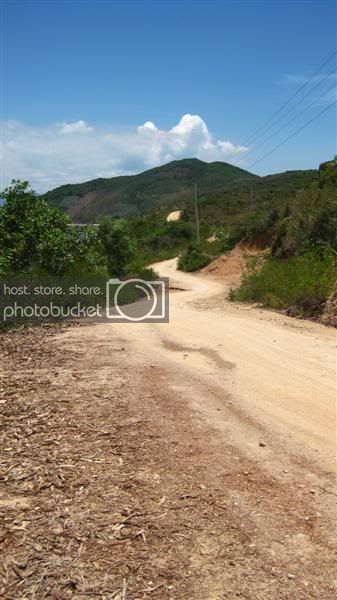 IMG_8464Medium.jpg