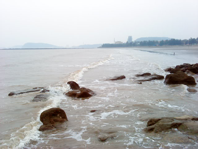 DSC00667.jpg