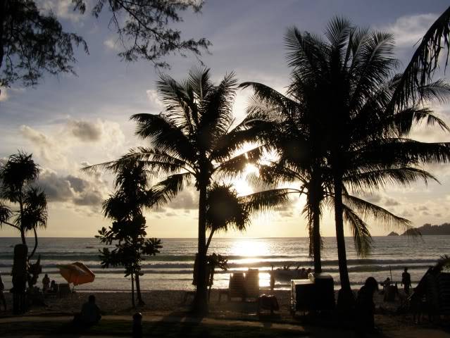 P7110378.jpg