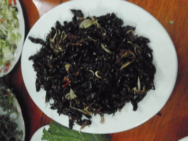 P1020569.jpg