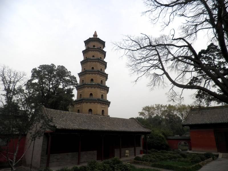 PA120804.jpg