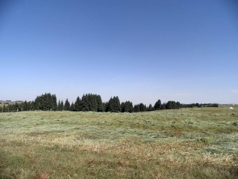 P9021878.jpg