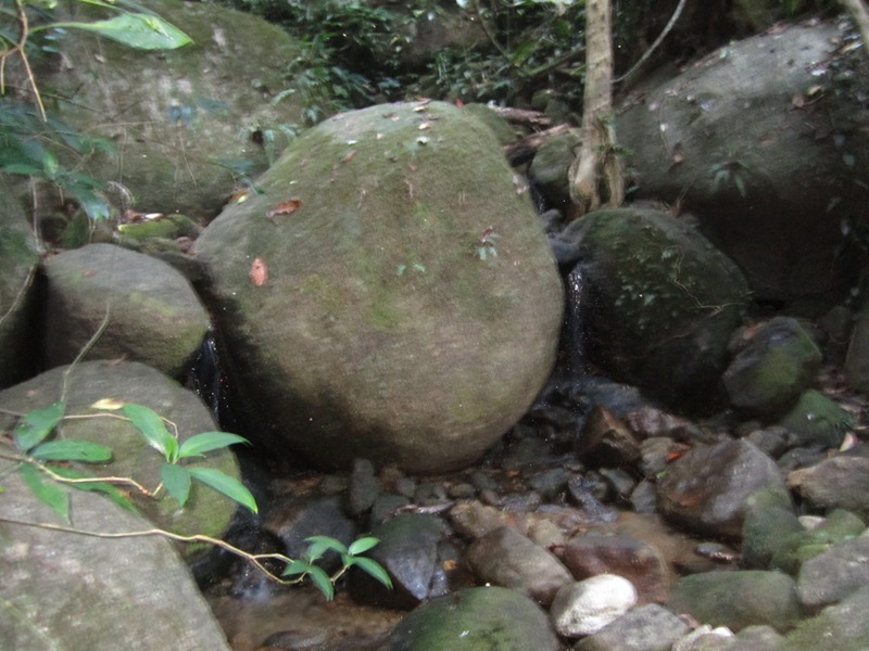 1251_zps327a2d4c.jpg