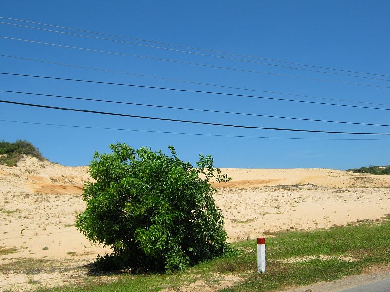 IMG_7792.jpg