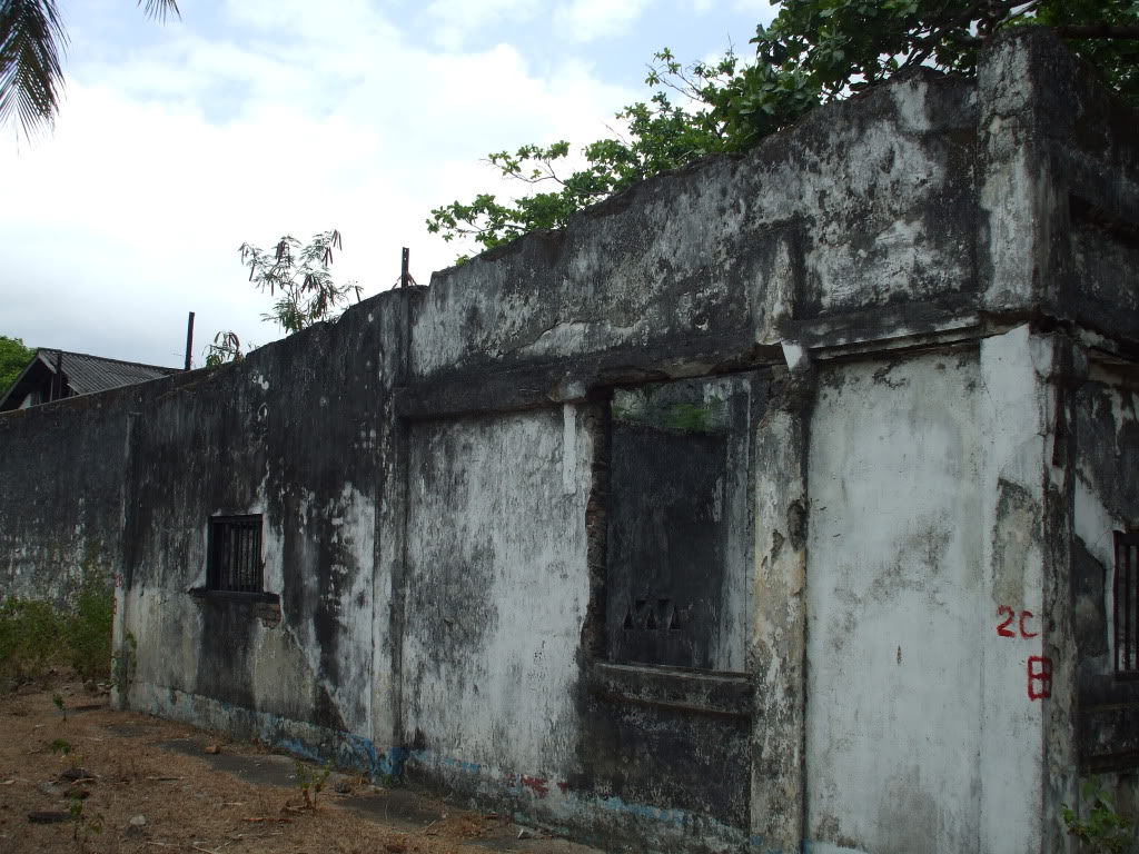 DSCF6582.jpg
