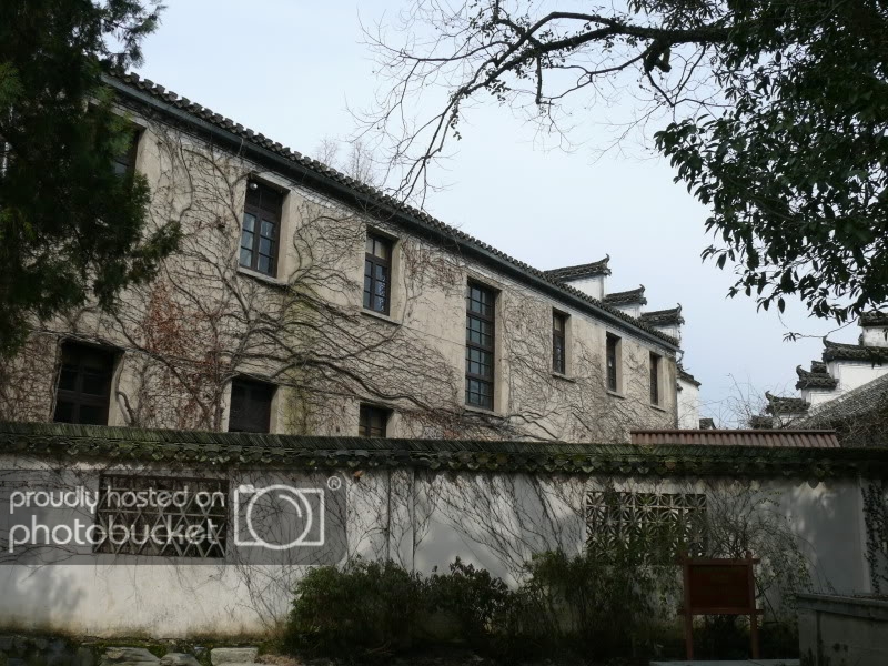 P1090897.jpg