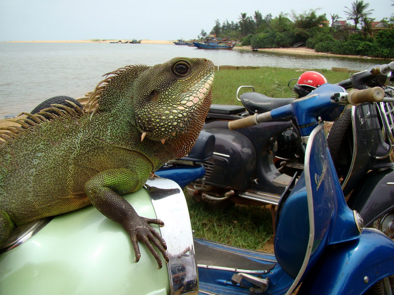 DSC07683.JPG