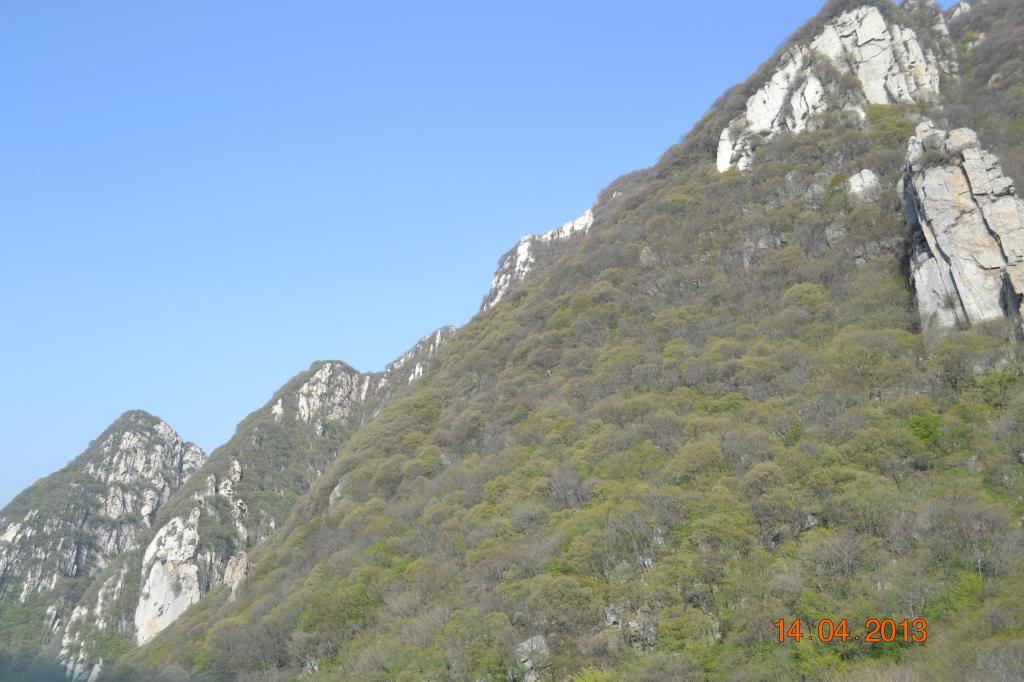 DSC_1174_zps6b98a1b8.jpg