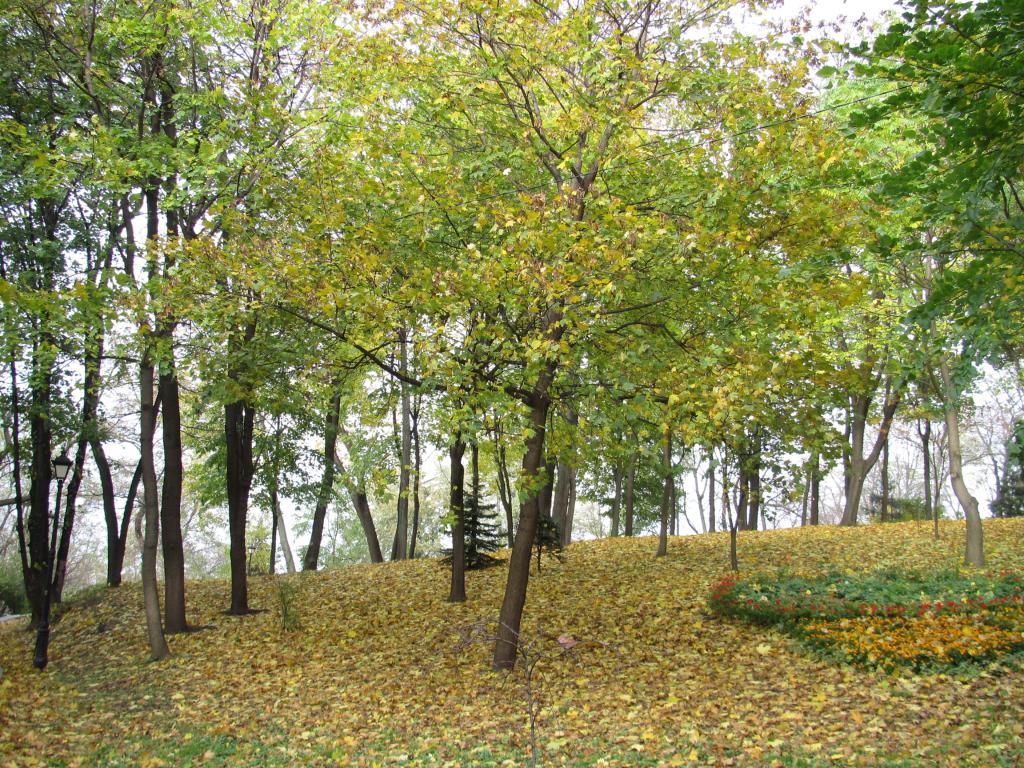 IMG_8416_zpsa3655817.jpg
