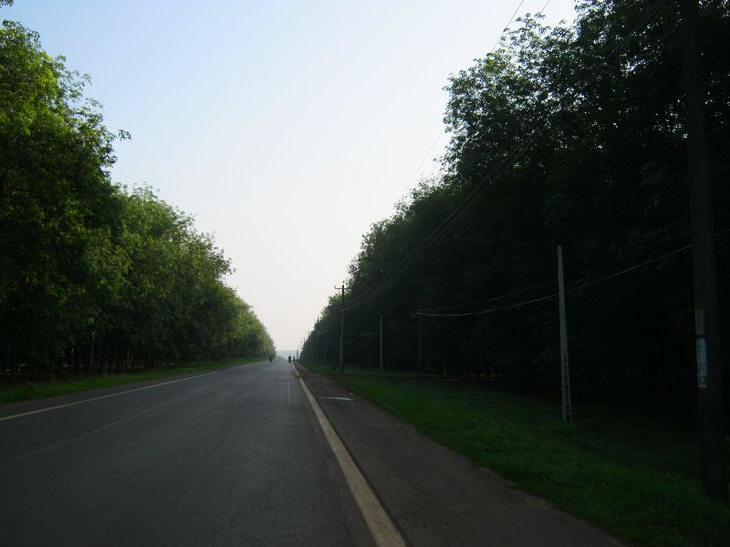 IMG_2792.jpg