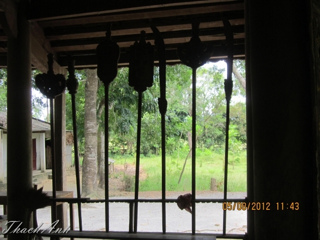IMG_8217.jpg
