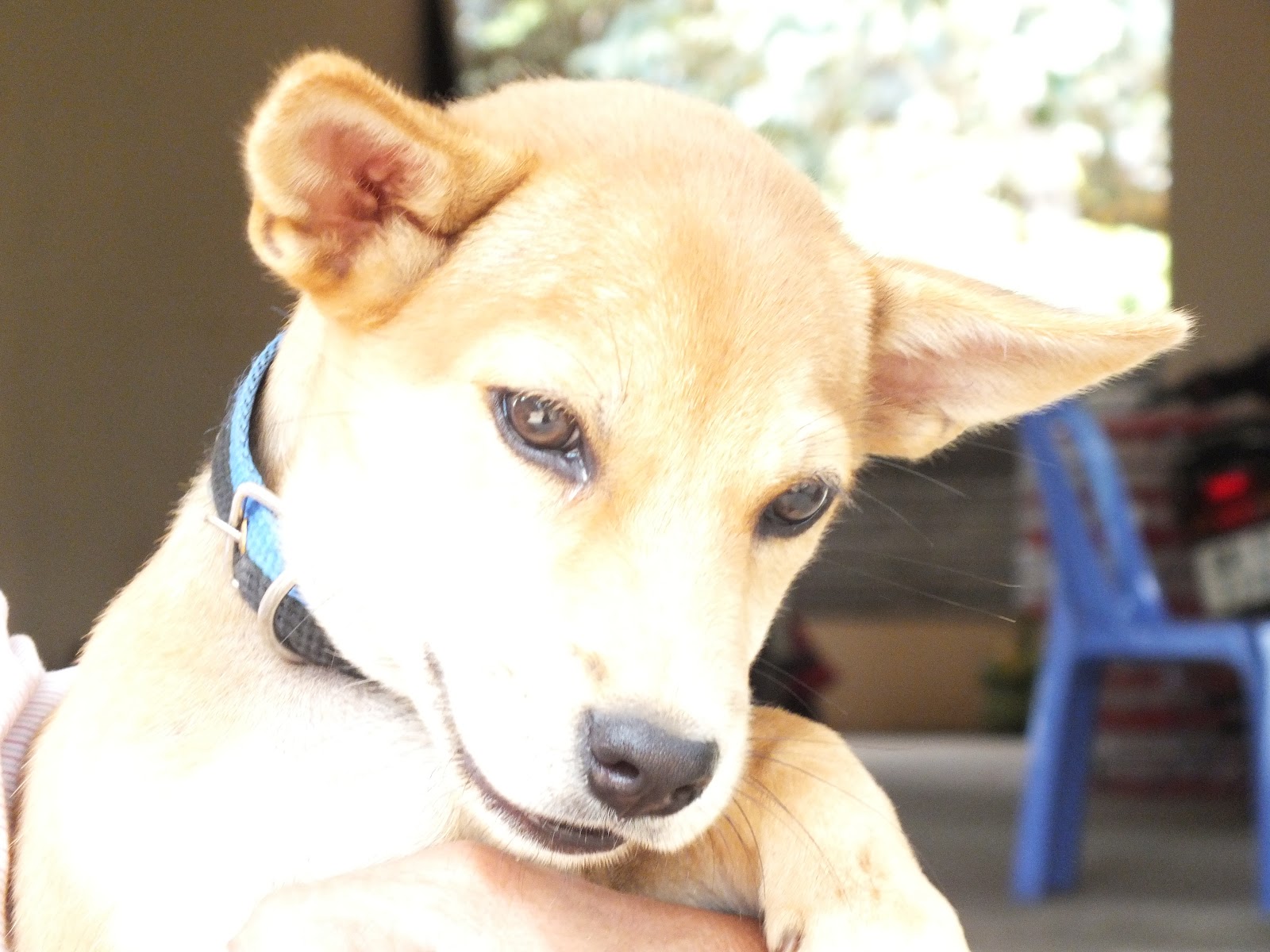 DSCF4428.JPG