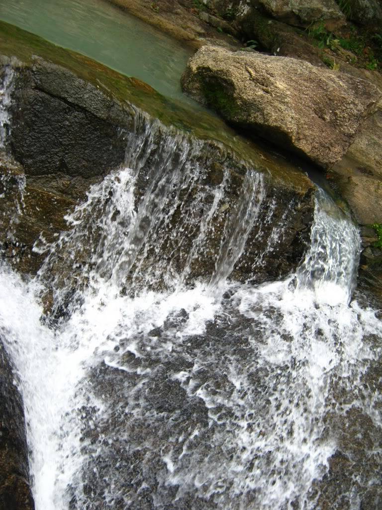 IMG_7163.jpg
