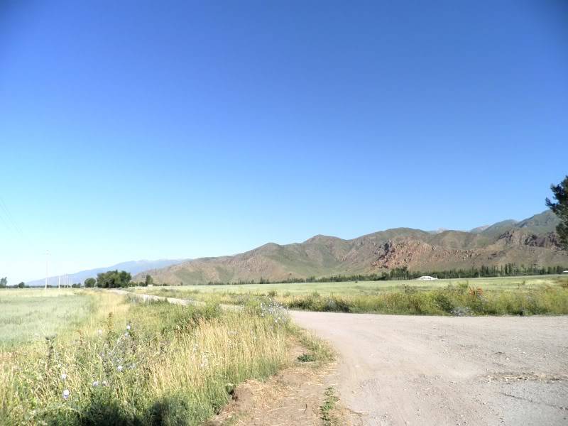 P7242877.jpg