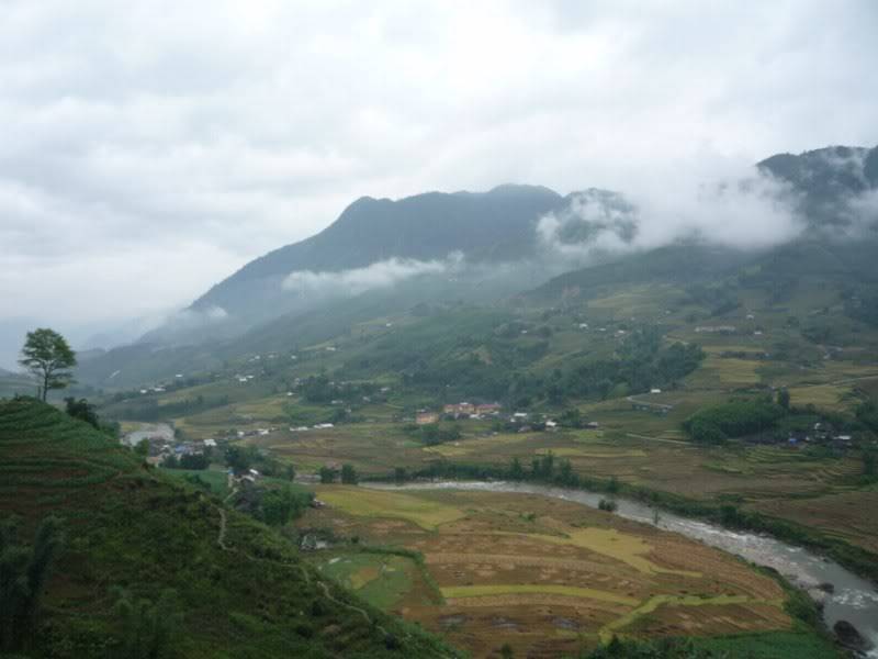 P1020198800x600.jpg