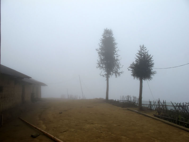 HongNgai2011492.jpg