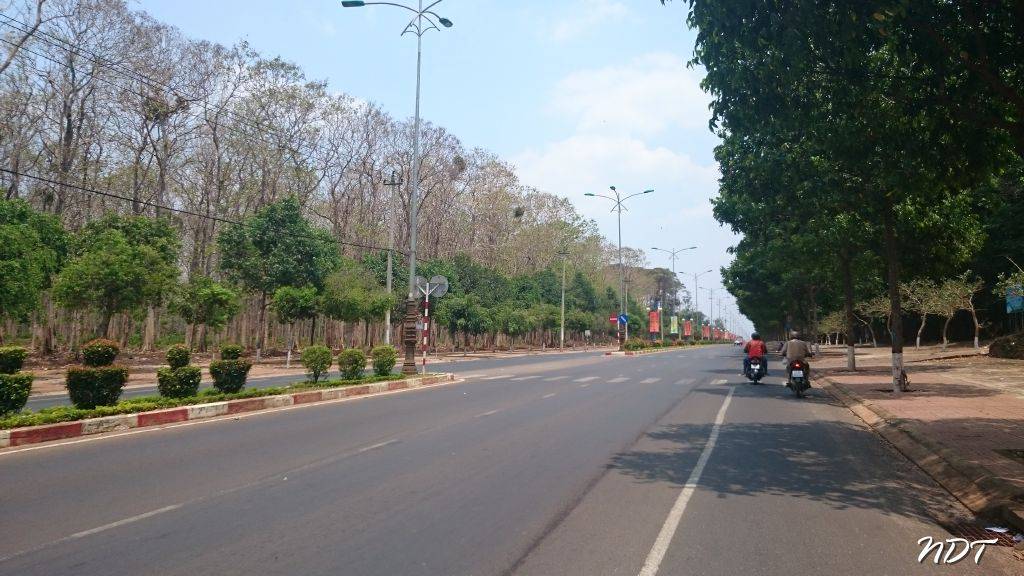 DSC_5204.jpg