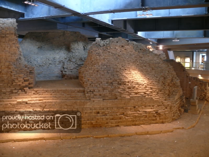 P1080528.jpg