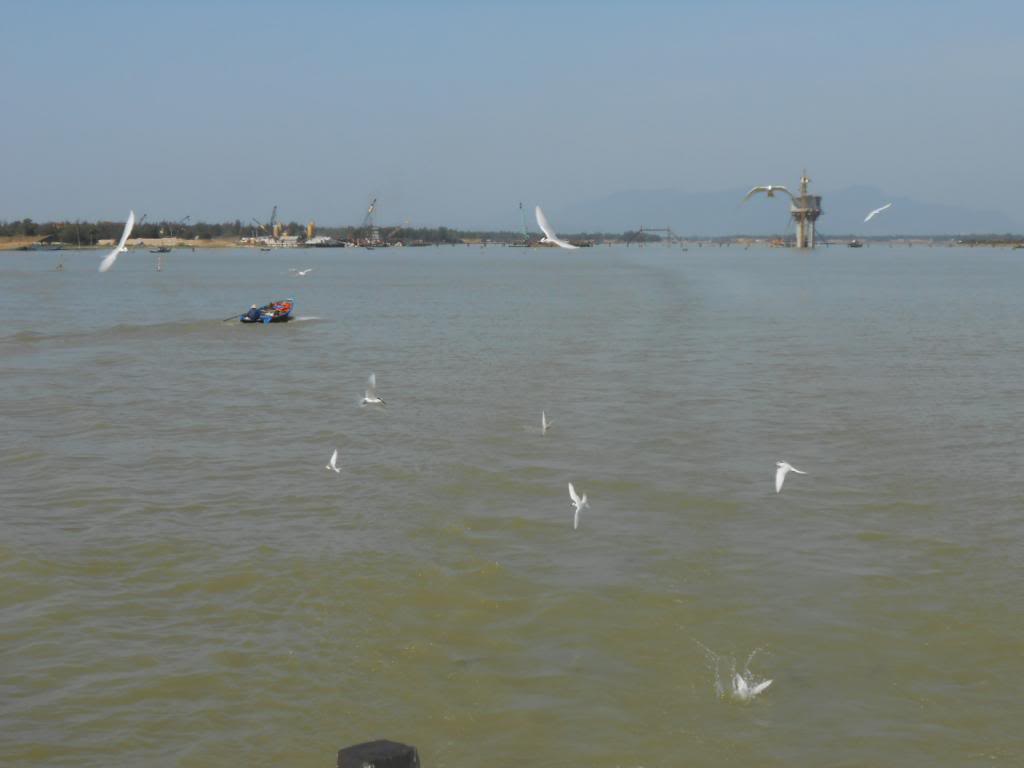 DSCN3661.jpg