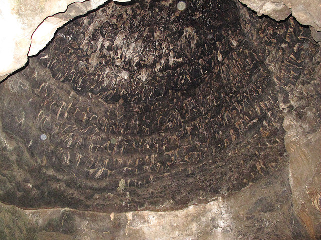8677134828_00072072ab_z.jpg
