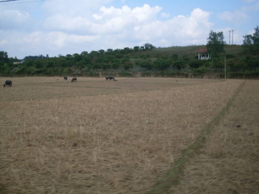 SDC10651.jpg