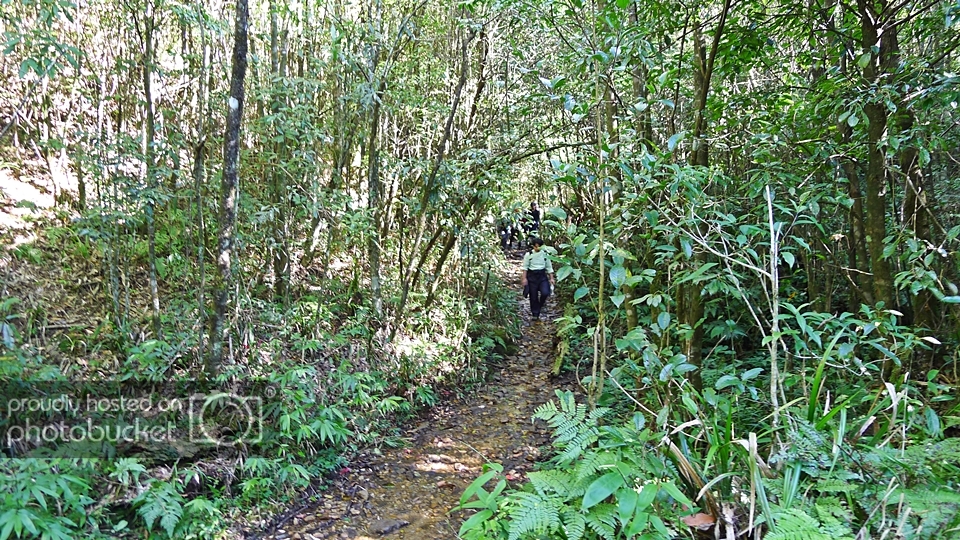 P1140724.jpg