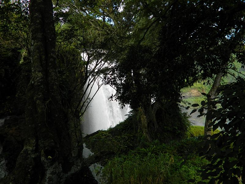 DSCN1760.jpg