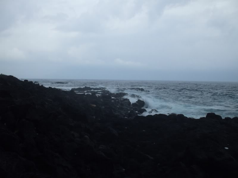 DSCF7029.jpg