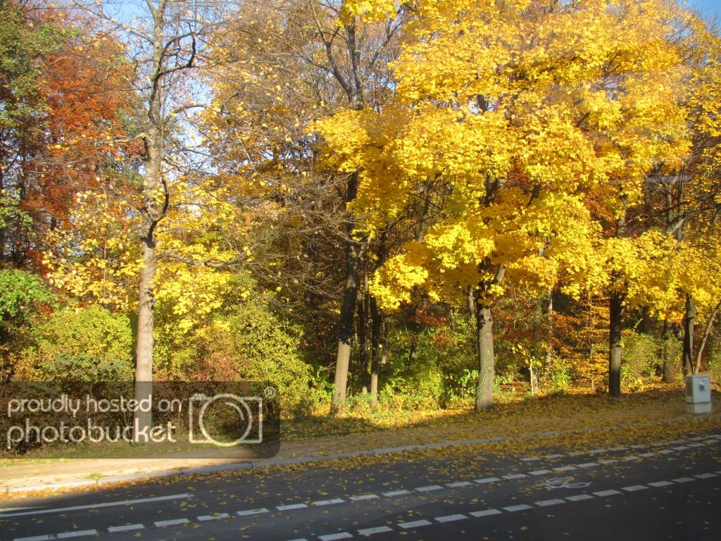 IMG_2310_zps93e7634f.jpg