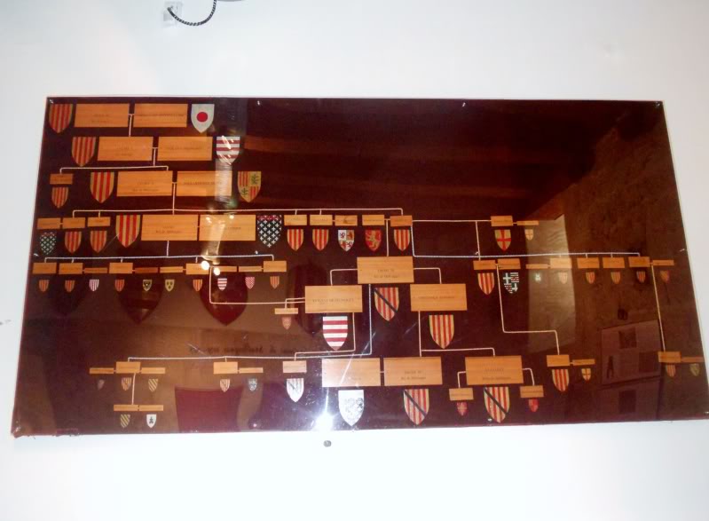 DSCN6570.jpg