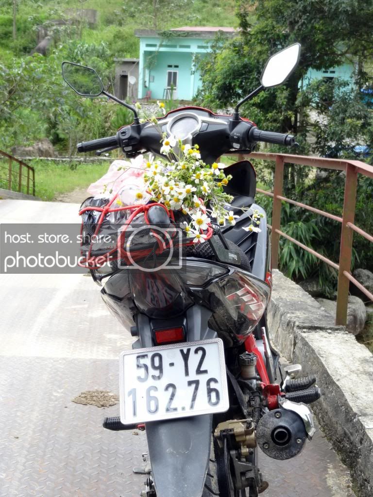 DSC04315_zpsc0f08bfb.jpg