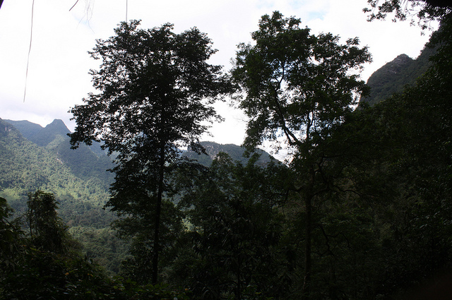 8955621294_e37c32822b_z.jpg