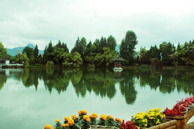 _MG_8617.jpg