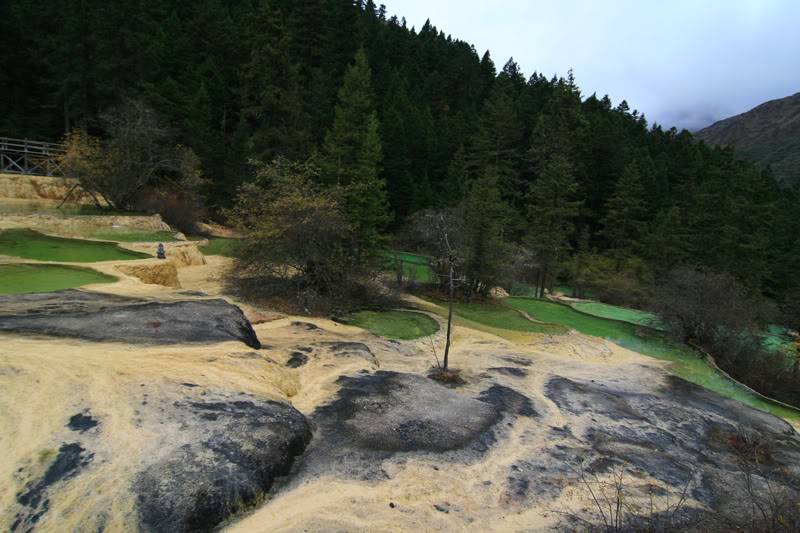hoanglong212-1.jpg