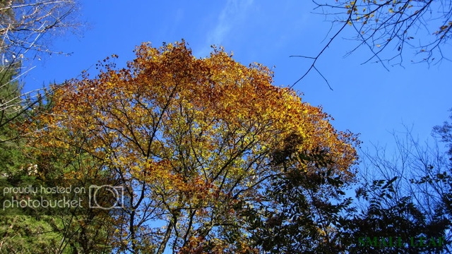 IMG_2408.jpg