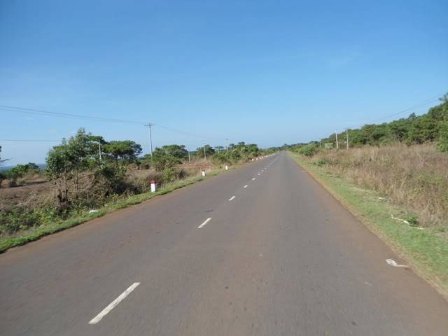DSC01556.jpg