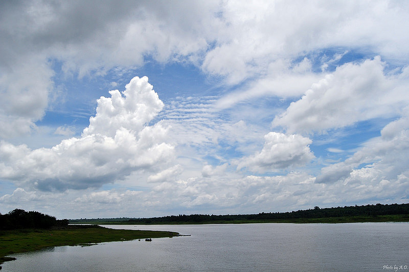 14809869982_46d56ee3d8_c.jpg