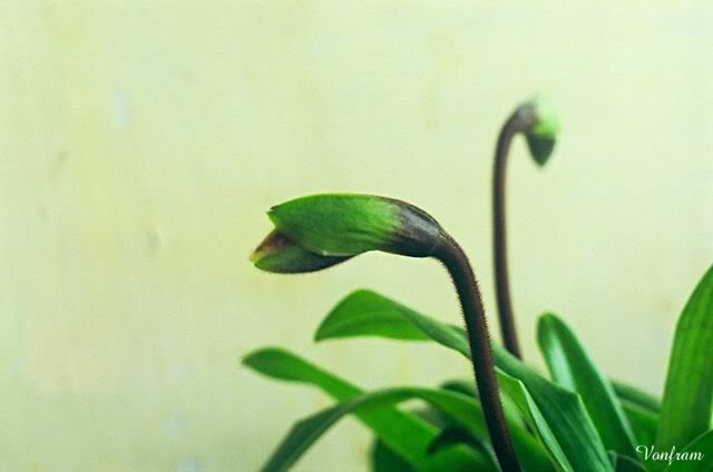 00034-02.jpg