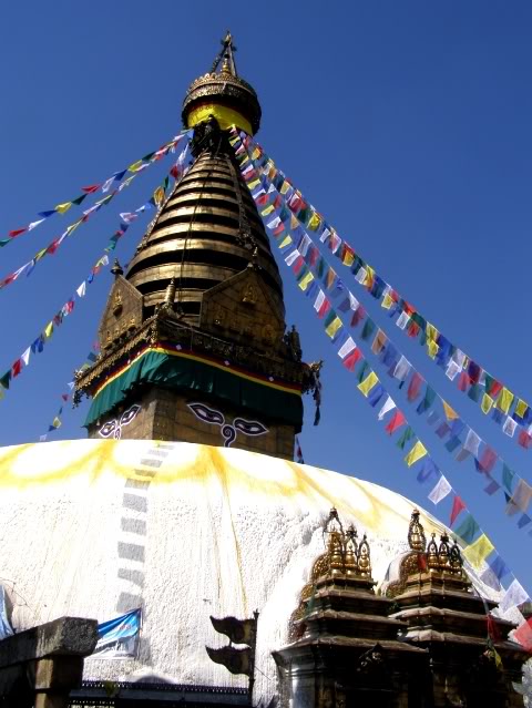 PA280708.jpg