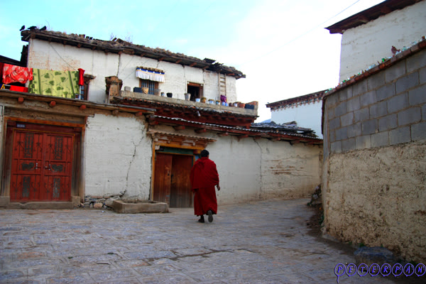 shangri-la126.jpg