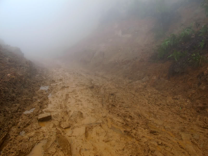 HongNgai2011750.jpg