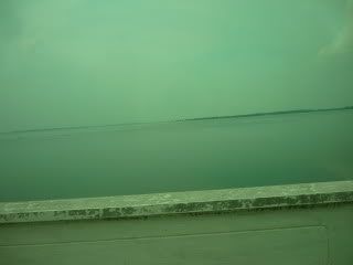 P1000726.jpg