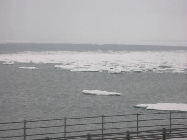 IMG_3112_resize.jpg