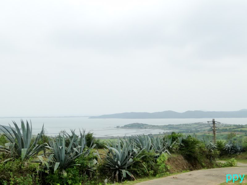 DSC04687800x600.jpg