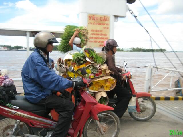 IMG_1703.jpg
