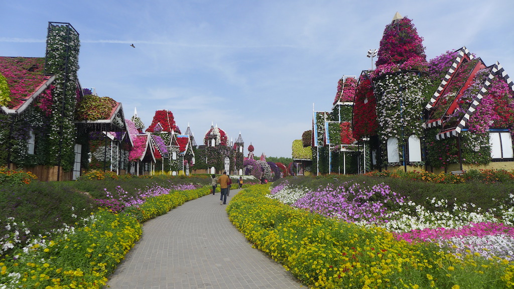 P1050916_zpstikuipbp.jpg