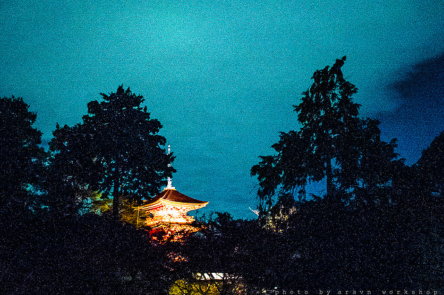9325953512_26ed11403f_z.jpg