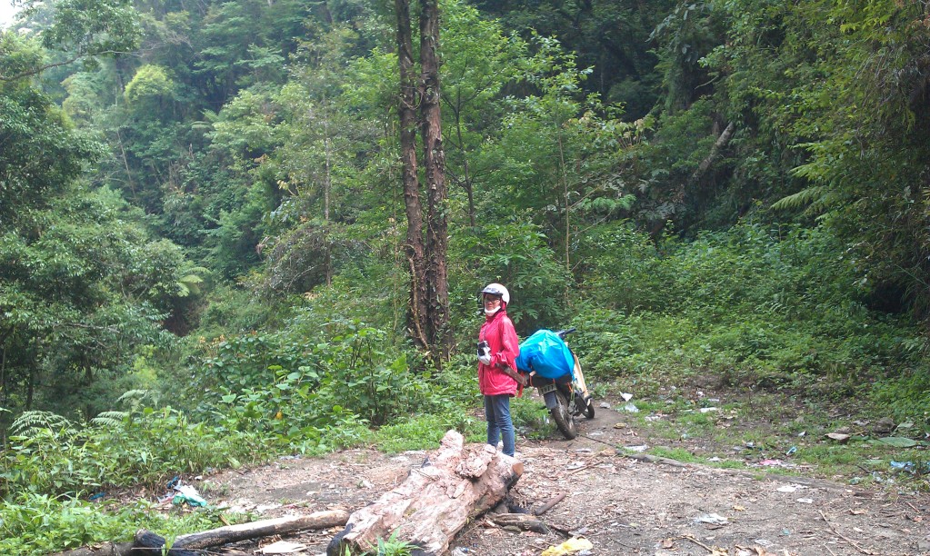 IMAG0158.jpg