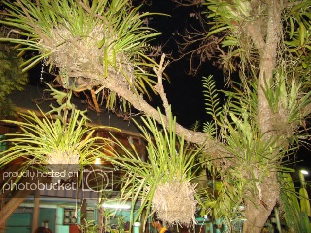 DSC01873.jpg